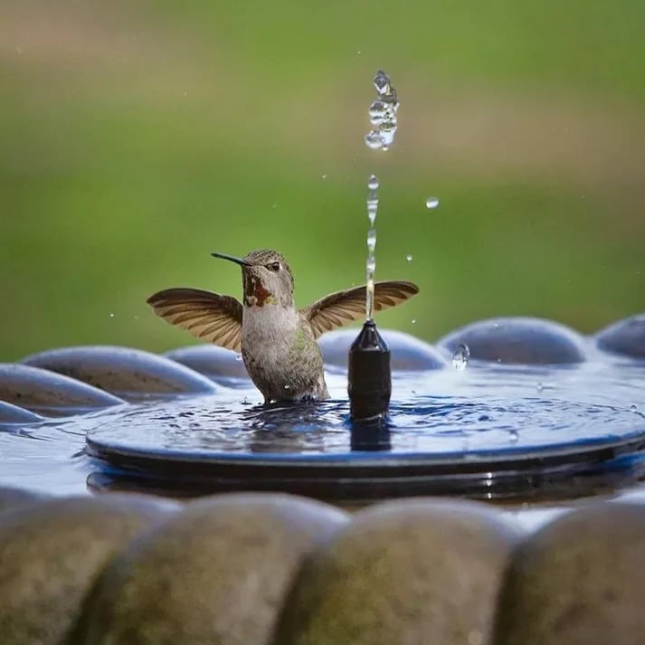 last-day-sale-50-off-compact-solar-bird-fountain-pump-keep-your-garden-alive-520