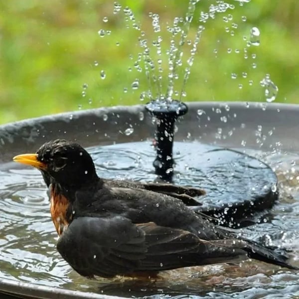 last-day-sale-50-off-compact-solar-bird-fountain-pump-keep-your-garden-alive-520